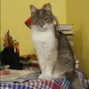 Отзыв от Валерия Петрова